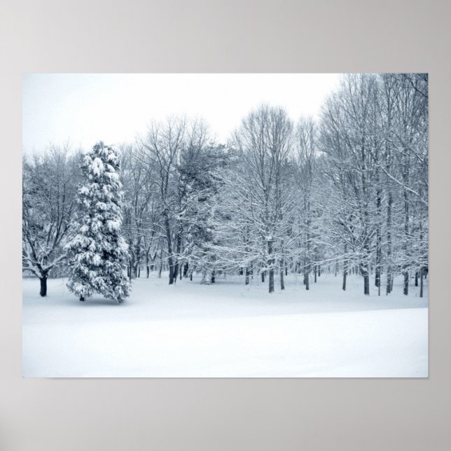 Quiet Forest Poster (Front)