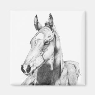 Quiet Gaze Magnet