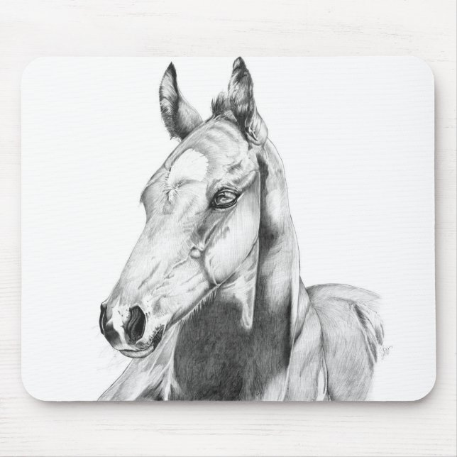 Quiet Gaze Mouse Pad (Front)