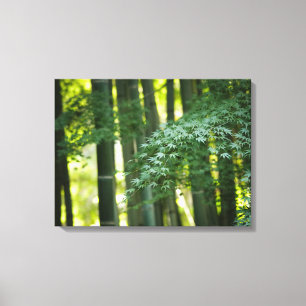 Quiet Japanese Bamboo Forest Canvas Print