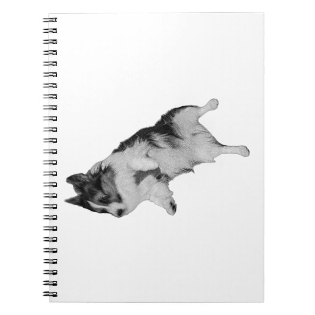 Quiet Notes Notebook (Front)