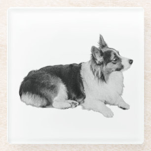 Quiet Pause Glass Coaster