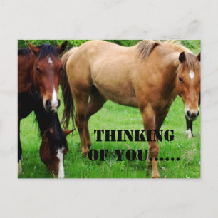 QUIET PLACE POSTCARD