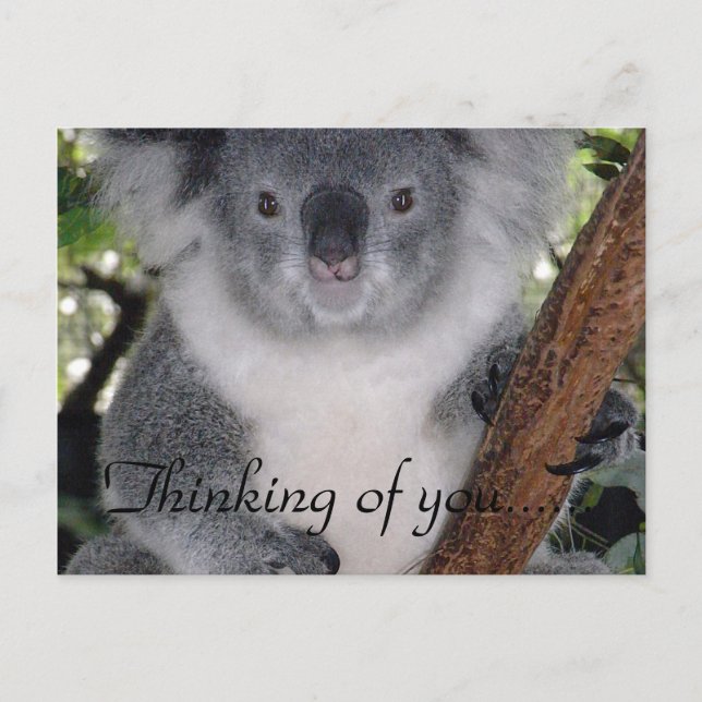 QUIET PLACE POSTCARD (Front)