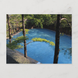 Quiet Pool - Fort Worth Water Garden # 3 Postcard