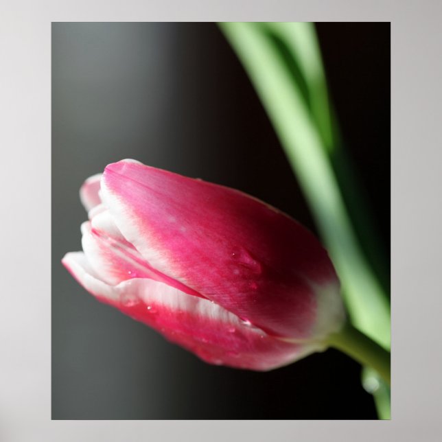 Quiet Poster (Front)