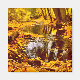 Quiet Reflection Magnet