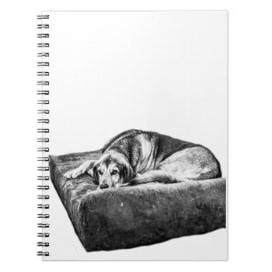 Quiet Reflections Notebook