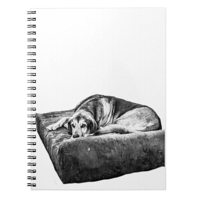 Quiet Reflections Notebook (Front)