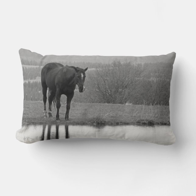 Quiet Reflectionz ~ Horse Pillow (Front)