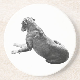 Quiet Table Companion Coaster