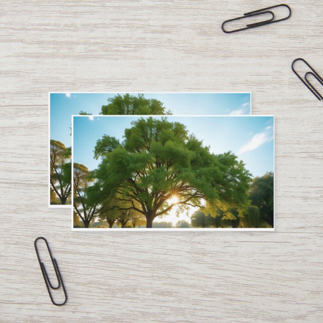 Quiet Time With a Big Tree  Business Card (Front/Back In Situ)
