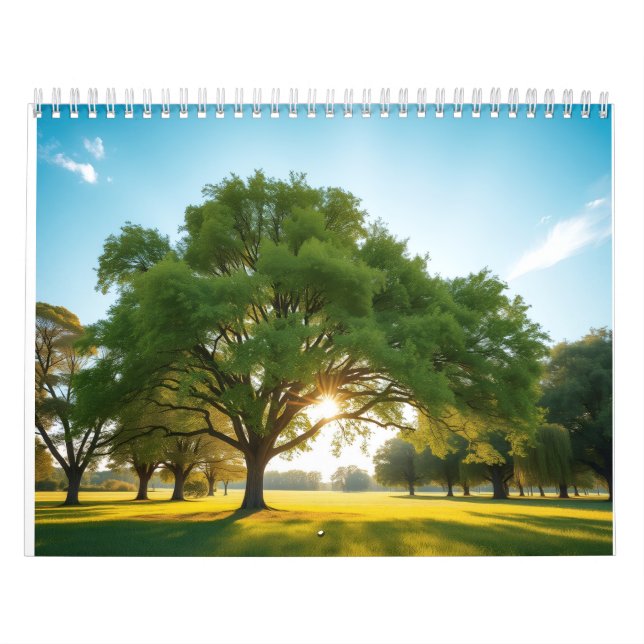 Quiet Time With a Big Tree  Calendar (Cover)