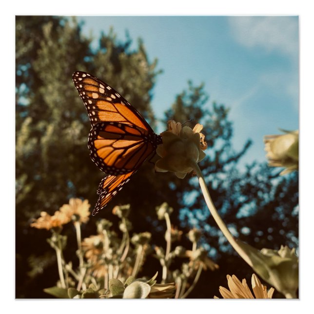 Quiet Wings Poster (Front)