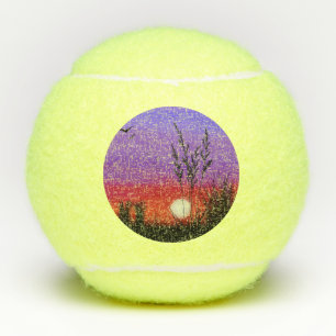 Quietly Tennis Balls Lake Sunset