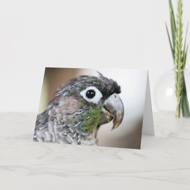 Quill city card (Front)