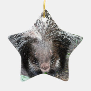 Quilled Porcupine  Ornament