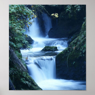 Quinalt Waterfall Canvas Print