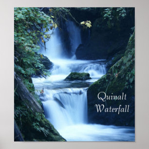 Quinalt Waterfall Poster