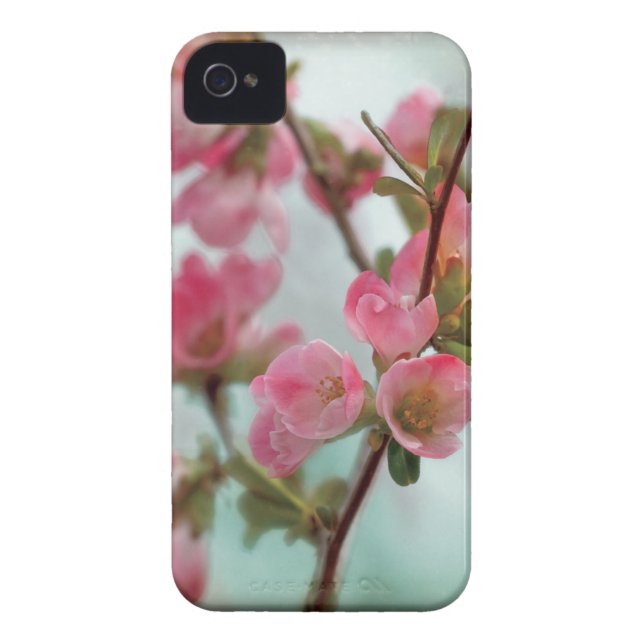 Quince Blossoms Case-Mate iPhone Case (Back)