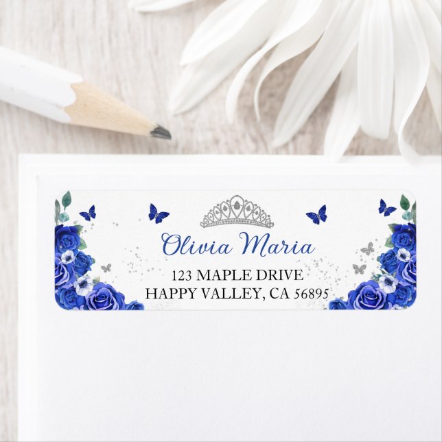 Quinceañera Blue Floral Papillons en argent Adress (En situation)