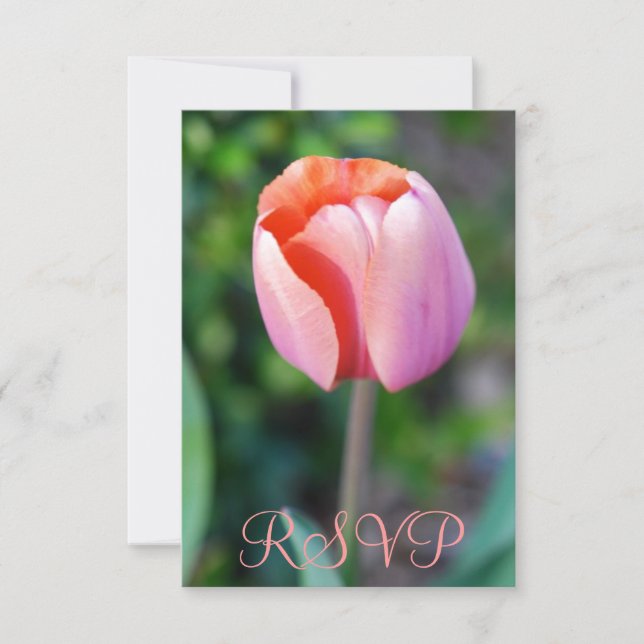 Quinceanera RSVP Pink Tulip 15th Birthday (Front)