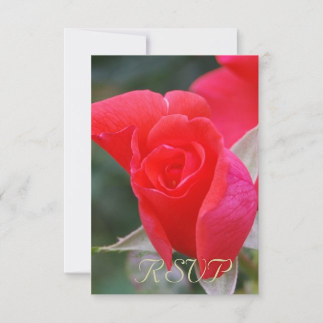 Quinceanera RSVP Red Rose Card (Front)