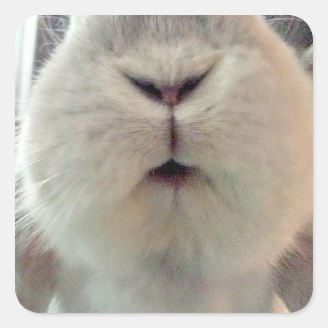Quincy Kisses Square Sticker (Front)