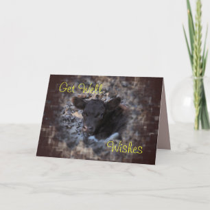 Quincy Pinzgauer Calf 5896-make any Card