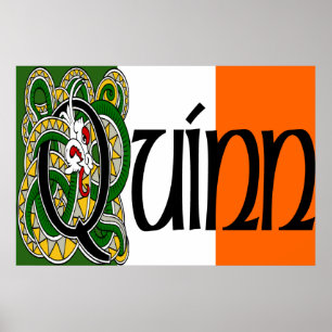 Quinn Celtic Dragon Print
