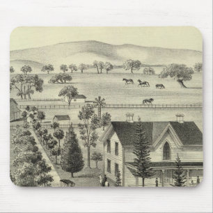 Quinn residence mouse pad