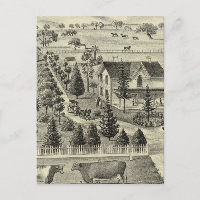 Quinn residence postcard (Front)