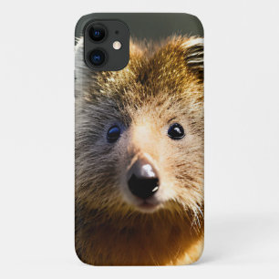 Quintin The Ginger Quokka,  iPhone 11 Case