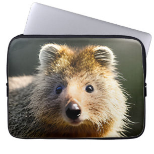 Quintin The Ginger Quokka, Laptop Sleeve