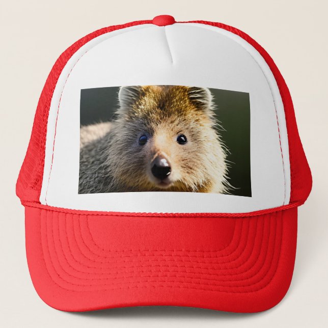 Quintin The Ginger Quokka, Truckers Hat (Front)