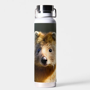 Quintin The Ginger Quokka, Water Bottle