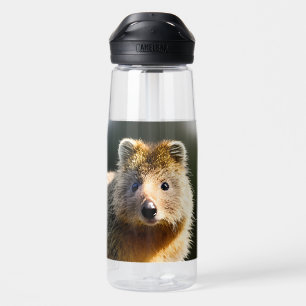 Quintin The Ginger Quokka, Water Bottle