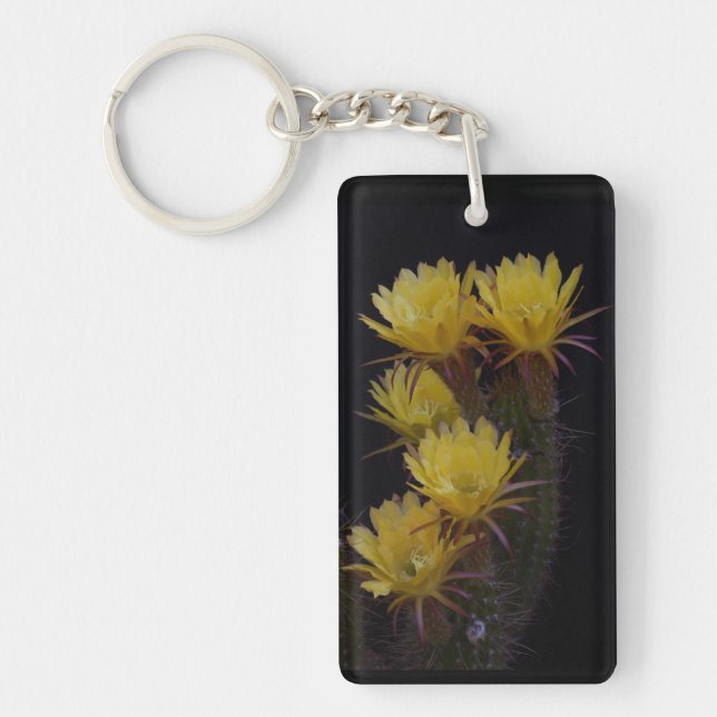Quintuple de fleurs de cactus (Devant)