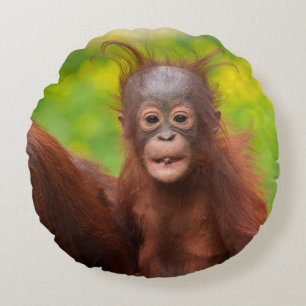Quirky Charm of an Orangutan Baby Round Pillow