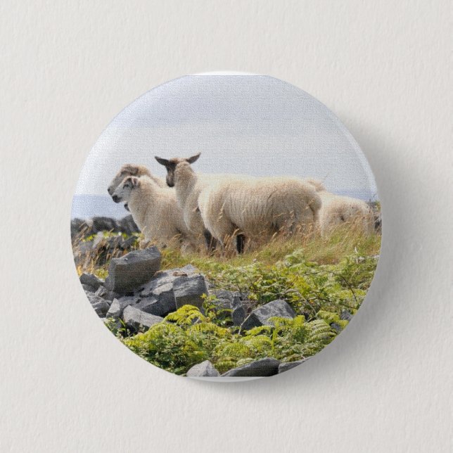 Quirky Designs - Sheep in a field 2 Inch Round Button (Front)