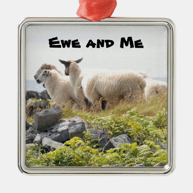 Quirky Designs - Sheep in a field Metal Ornament (Front)