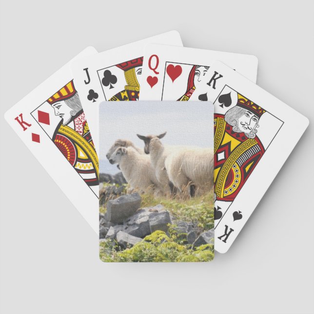 Quirky Designs - Sheep in a field Playing Cards (Back)