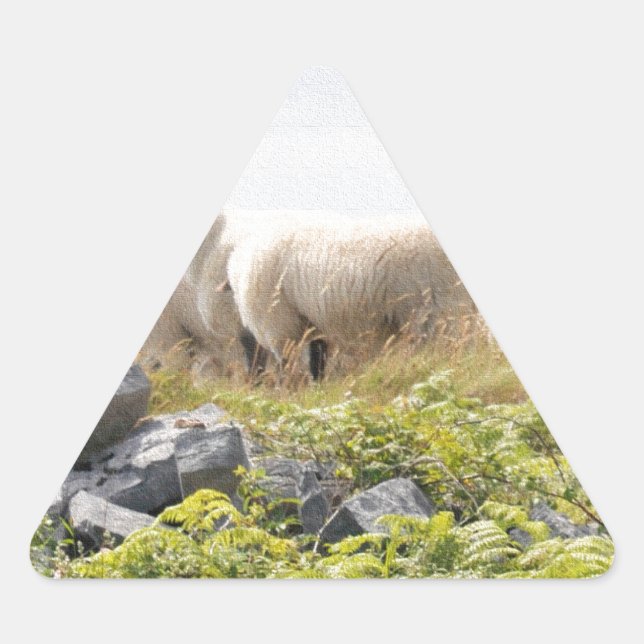 Quirky Designs - Sheep in a field Triangle Sticker (Front)
