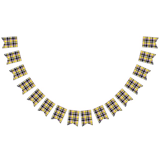 Quirky Eclectic Boho Nonbinary Plaid Pride Flag (All)