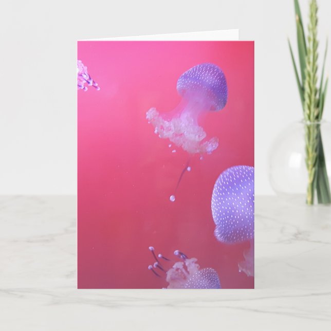 Quirky Jellyfish in the Pink Water Card (Front)