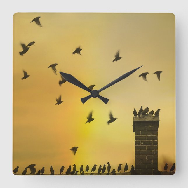 Quirky Little Birds Square Wall Clock (Front)