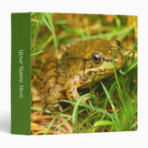 Quirky One-Sided Dialog with a Small Green Frog Binder