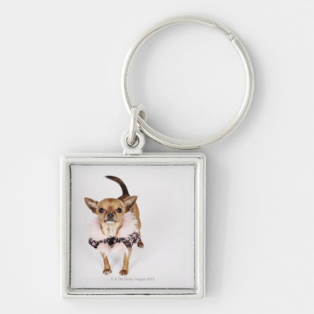 Quirky portrait of a Teacup Chihuahua Keychain (Front)