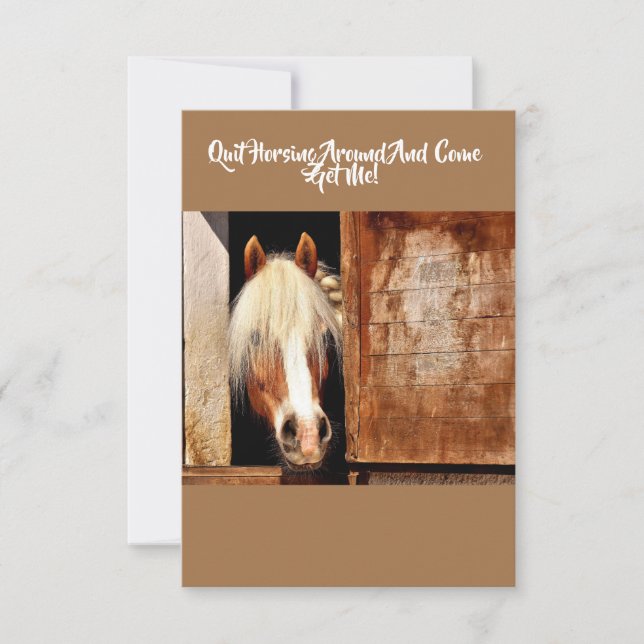 Quit Horsing Around Funny Greeting Card (Front)