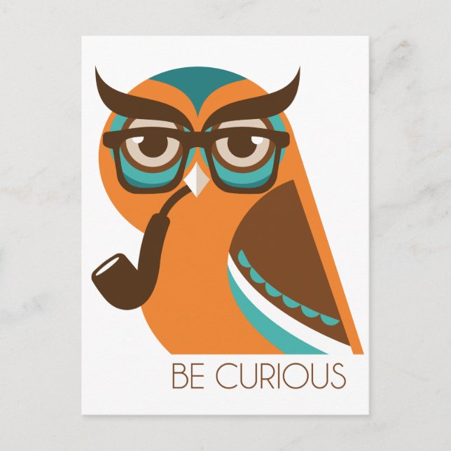 Quizik Owl Postcard (Front)